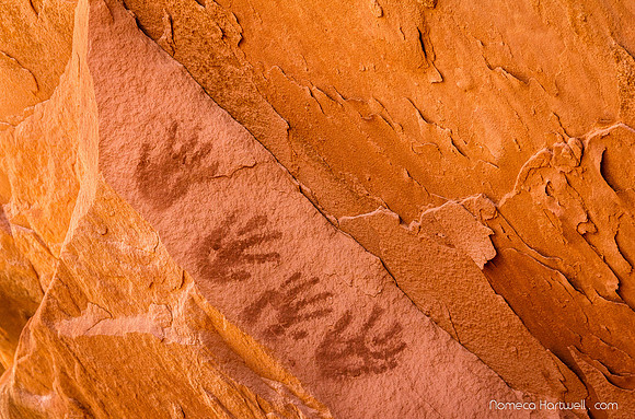 Four Hand Prints