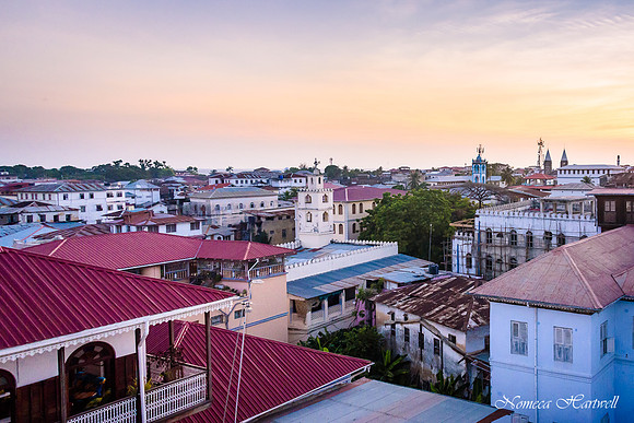 Zanzibar_2020 _7688
