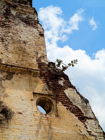 Ruined Wall