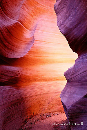 Canyon Curve