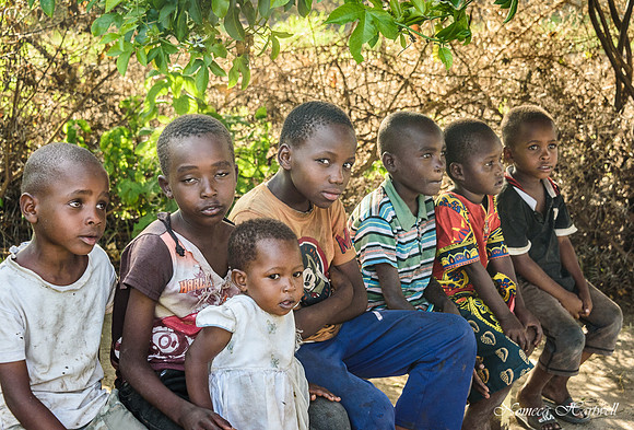 Tanzania_2020 _7293