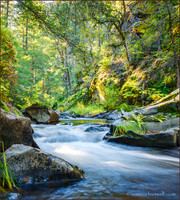 NomecaHartwell_WILD-Elliott CreekFall_25_-7077