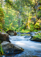 NomecaHartwell_WILD-Elliott CreekFall_25_-7077-3