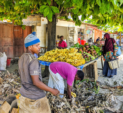 Zanzibar _114930