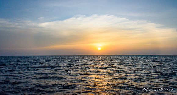 Zanzibar_2020 _7751