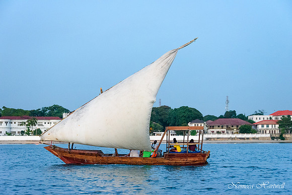 Zanzibar_2020 _7752