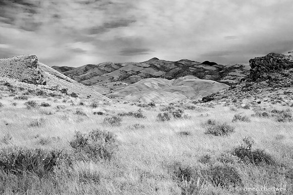 Carroll Rim View