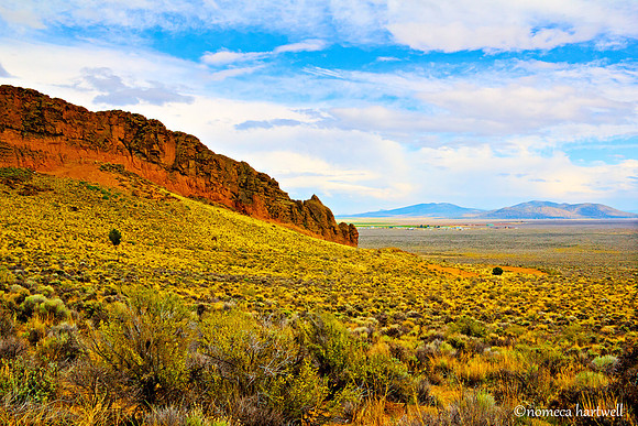 Fort Rock View