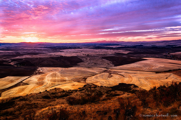 Palouse Sunrise