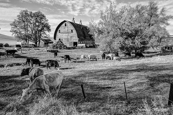 Palouse Farmstead_15_8291_2_3PM 5