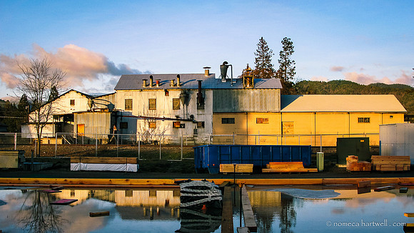 Grange Reflections