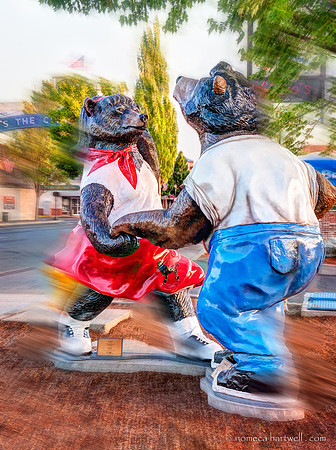 Dancing Bears