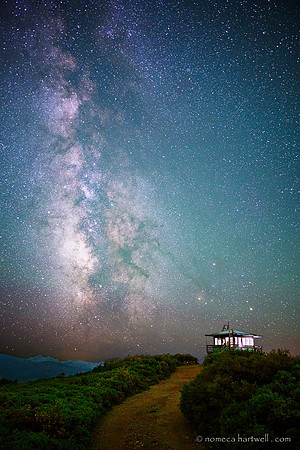 Starry  Grayback