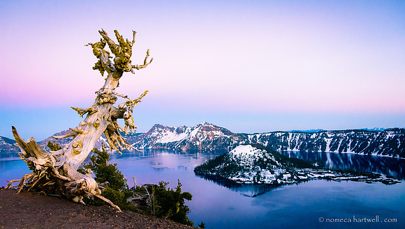 Wizard Island & Snag