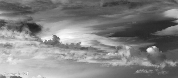 Storm Beauty_B&W