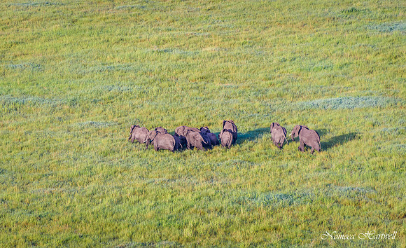 Tanzania_2020 _7537