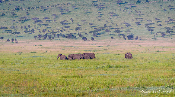 Tanzania_2020 _7536