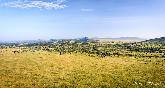 Tanzania_2020 _7544