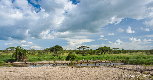 Tanzania_2020 _7586