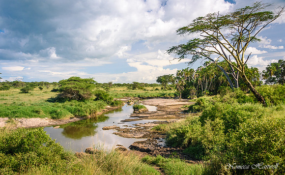 Tanzania_2020 _7592