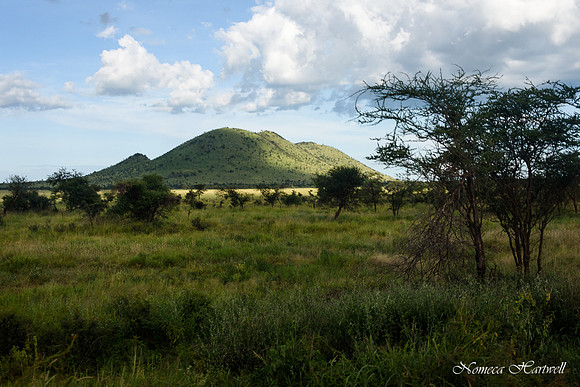 Tanzania_2020 _7634