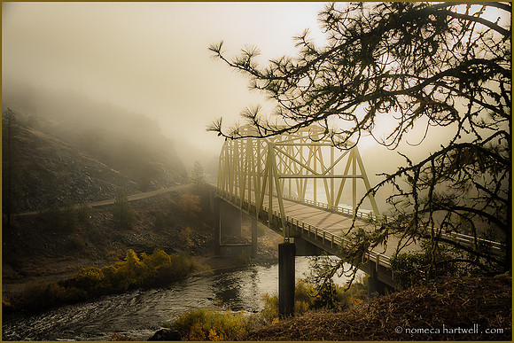 Breaking Fog