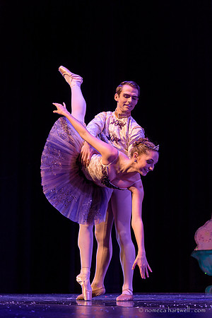 Nutcracker Ballet