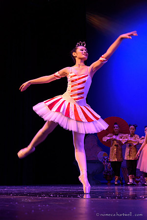 Nutcracker Ballet