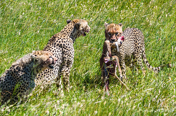 Tanzania_2020 _7523