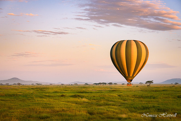 Tanzania_2020 _7529
