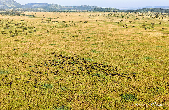 Tanzania_080009