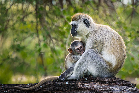 Tanzania_2020 _7233