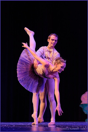 Graceful In Purple