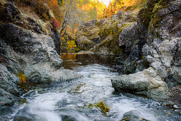 Taylor Creek Falls