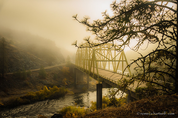 BreakingFog