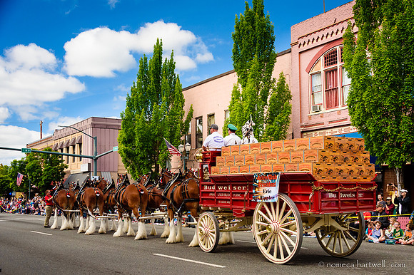 Beer Carriage on Mainstreet