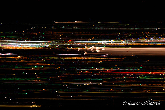 Fire Lines