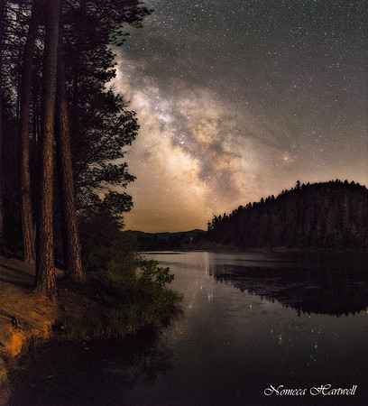 Lake Selmac's Summer Dream