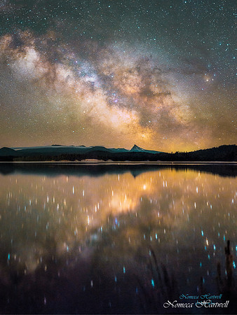 Lemolo Lake Black Star crop