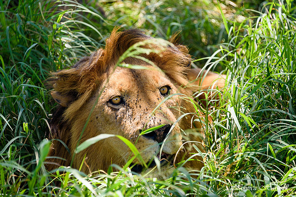 Tanzania_2020 _7572