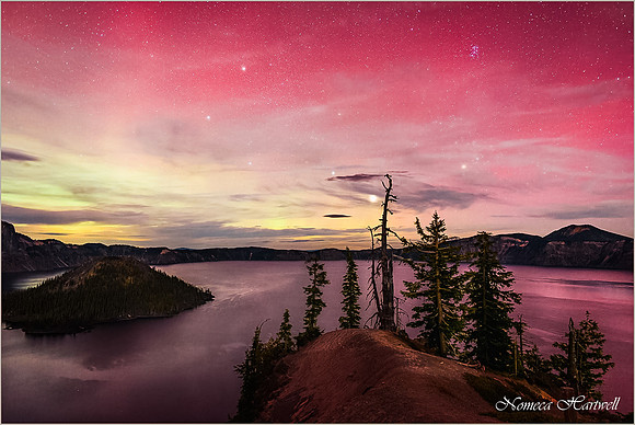NomecaHartwell_WILD_Jupiter Rising_Aurora Lake Tree & Moonlight_24_6115