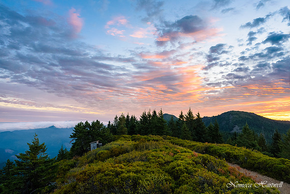 Quiet Sunrise
