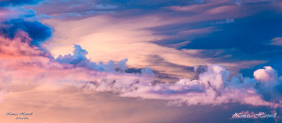 Storm Beauty