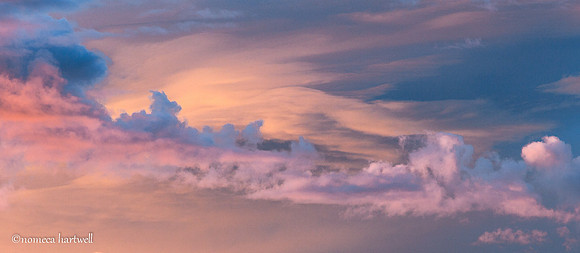 Storm Beauty
