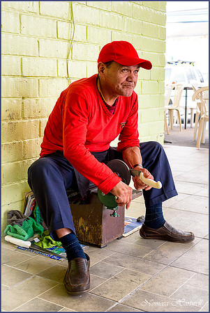 The Knife Sharpener