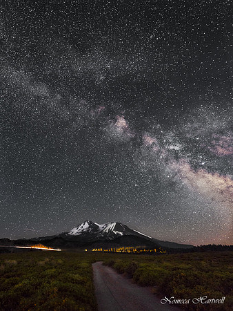 Shasta Stars