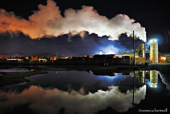 Industrial Reflections