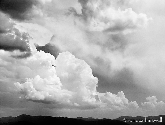 Grayback Storm Clouds