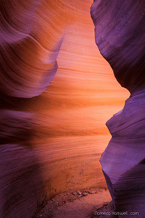 Canyon Curve