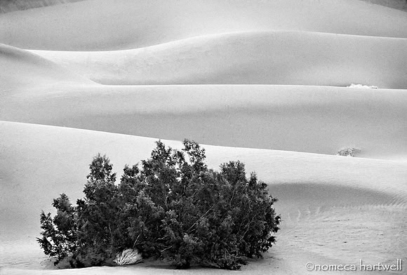 Triple Dune